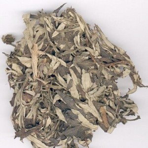 Mugwort แห้งที่มีคุณภาพสูงสำหรับการส่งออกในปริมาณมาก - Product Image 1