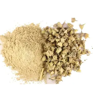 Gokhru Pulver | 100% reines Gokhru Pulver zum Massen preis, Tribulus Terrestris, meist verkauftes Tribulus Terrestris Gokhru Frucht pulver