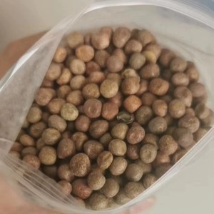 Petits pois bruns entiers séchés, culture courante pour la mise en conserve et la transformation alimentaire, matière première, prix de gros en vrac à vendre - Product Image 1