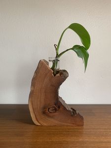 PERO MACETA DE FLORES DE MADERA LA MEJOR CALIDAD JARDÍN HOGAR PISO DE PIE Maceta de madera Bonsai Maceta de madera para gran oferta - Product Image 2