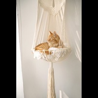 Lit suspendu créatif, moderne et confortable pour chat, en forme de grotte, rembourrage en polyester et coton, lavable à la main, pour chats et petits animaux, panier cadeau