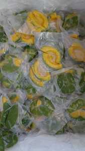 Meilleure vente : Avocat naturel LQF surgelé biologique certifié VIETGAP, bon goût, bon marché, OEM, en dés, en vrac, sous vide, pour stockage - Product Image 3