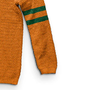 Famu University Sweatshirt Logo Drop Shoulder Streetwear 100% Coton Motif Solide Doublé Design - Product Image 3
