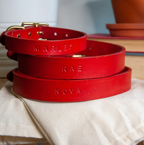 Collier de chien en cuir vert de haute qualité pour lévrier et Whippet - Product Image 2