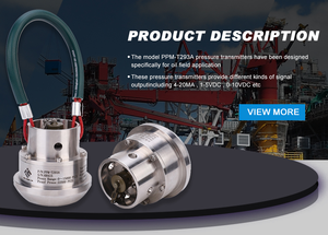 PPM-T293A高精度ステンレス鋼圧力トランスデューサハンマーユニオンセンサー1502 5000 psi - Product Image 3