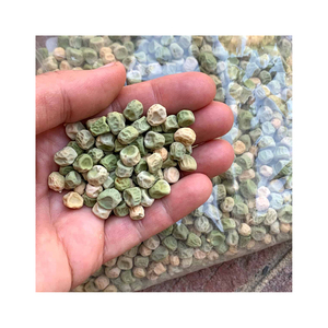 Graines de pois biologiques de haute qualité grillées à bas prix - Product Image 2
