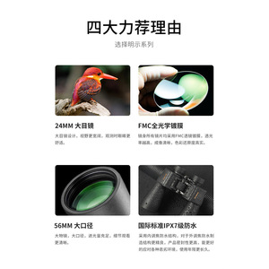56 - Product Image 6