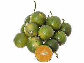 JUS DE KUMQUAT DE FRUITS ENTIERS CONGELÉS AVEC UNE FORMULE À BASE DE PLANTES ÉTIQUETTE PROPRE ET AVANTAGES INIMMUNITAIRES - Product Image 4