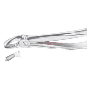 Fig. 17 Molares superiores Derecha Fórceps de extracción de dientes de diferentes tamaños Instrumentos médicos dentales Precio al por mayor Proveedor a granel - Product Image 6