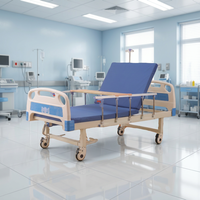 Cama de Hospital Manual de Dos Manivelas con Respaldo Ajustable y Barandillas Laterales de Acero Resistentes para Uso Diario en Salas de Hospitalización