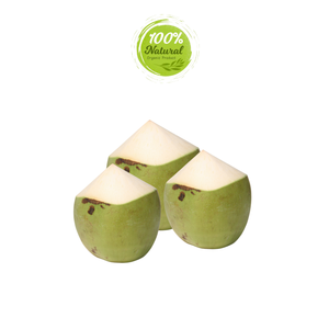 Noix de coco du Vietnam fraîches et naturelles Pure Perfection Produit agricole - Product Image 1