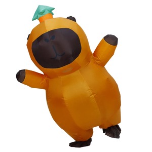 Costume de Capybara gonflable - Product Image 5