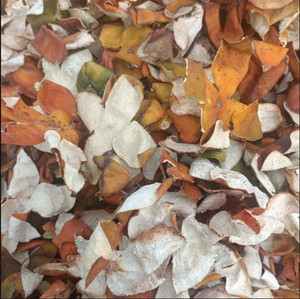 Wholesale Price Dried Dehydrated Orange Peel Vietnam Sweet Taste Herb Dried Orange Peel FD Drying Process Vacuum Pack Packaging - Product Image 6