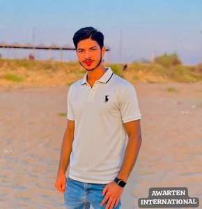 Camiseta Polo lisa de algodón 100% de alta calidad, camisetas Polo de Golf de verano con logotipo impreso bordado personalizado para hombre - Product Image 1