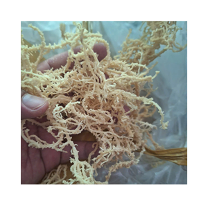 Algues sélectionnées bio Eucheuma pour les produits laitiers-textures alternatives et épaississants culinaires, offre d'exportation stable du Vietnam - Product Image 1