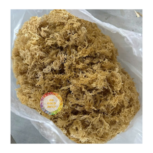 Mousse de mer violette biologique séchée Eucheuma Cottonii Mousse de mer Algues crues de qualité supérieure Approvisionnement en gros-Caryln - Product Image 1