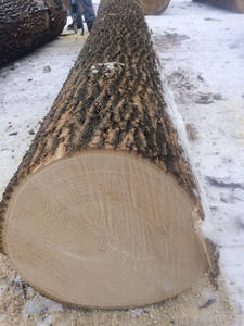 ล็อกไม้เมเปิ้ลสีน้ำตาลแข็ง, สำหรับเฟอร์นิเจอร์, ความหนา - Product Image 6