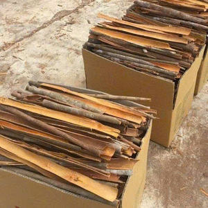 แยก Cassia | cannelle fendue สำหรับเบเกอรี่และทำอาหาร, ต้นกำเนิดจากเวียดนาม, แหล่งที่ยั่งยืน, สีเหลืองแดง - Product Image 5