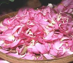 Fleur de lotus séchée de haute qualité/vacances - Product Image 4