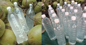 El mejor vendedor de bebidas de frutas de Vietnam Agua de coco congelada natural a precio al por mayor - Product Image 5