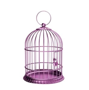 Cage à oiseaux créative en métal faite à la main en fer durable suspendu maison à oiseaux décorative cage à oiseaux rustique pour jardin balcon et utilisation intérieure - Product Image 5