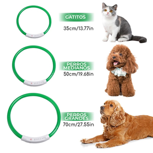 Collare per Animali Domestici LED Ricaricabile USB, Materiale TPU Silicone di Lusso, Motivo Animalier Riflettente per Gatti e Cani, Taglia M - Product Image 6