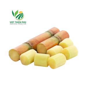 CANNE À SUCRE Offre Spéciale CONGELÉE PRIX COMPÉTITIF ET HAUTE QUALITÉ POUR L'EXPORTATION DES JARDINS DU VIETNAM - Product Image 5