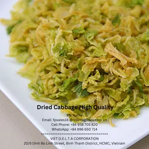 Hot Sale Cabbage For Export Products Supply Delicious Vegetables New Season