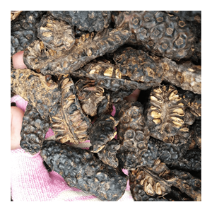 Alta calidad medio corte seco Noni fruta precio especial embalaje a granel para hacer té - Product Image 1