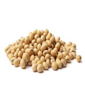 Frijoles de soja/Semilla de soja seca amarilla no OGM de alta calidad/Frijoles de soja a La NON-GMO - Product Image 1