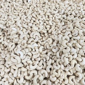 Offre Spéciale noix de cajou grillées biologiques Santigo au Vietnam W180 240 320 Emballage de marque privée de qualité supérieure disponible - Product Image 1