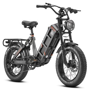 จักรยานไฟฟ้า Romeo II Ebike มอเตอร์คู่ 52V 60Ah 40 ไมล์ต่อชั่วโมง พร้อมแบตเตอรี่ 48V ในตัว - Product Image 4