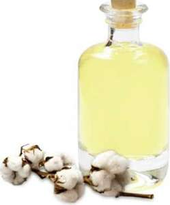 Wholesale Factory Manufacturer Of Cottonseed <b>Carrier</b> <b>Oil</b> 100% Pure And Natural Therapeutic Cottonseed <b>Carrier</b> <b>Oil</b> From India - Product Image 1