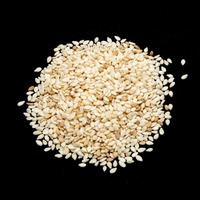 Fournisseur de graines de sésame décortiquées, graines de sésame noir, graines de sésame naturelles