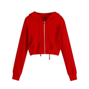 À la mode Zipper Femmes À Capuche Dans Le Moins Cher Prix Casual Hoodies Nouveau Femmes À Capuche Pour Adultes - Product Image 6