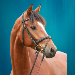 Haute qualité prix bon marché bride de course de chevaux équestre bride de course de chevaux équestre personnalisée - Product Image 6