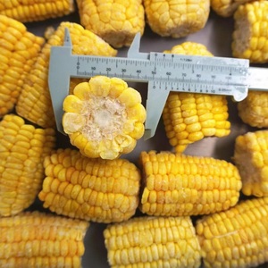Maïs Sucré Entier Congelé LQF (Date) en Gros Sous Vide avec Préservation de l'Eau en Vrac - Product Image 3