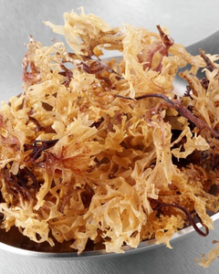 Superalimento de Algas Marinas SEAMOSS, Etiqueta Limpia para la Salud Inmunológica y Apoyo a la Desintoxicación, Alta Calidad de Vietnam - Product Image 6