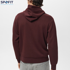 Vente en gros de haute qualité de luxe logo personnalisé sérigraphie 500GSM 100% coton polaire lourd vêtements décontractés sweats à capuche pour hommes - Product Image 3