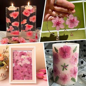 Lot de 100 <span class=keywords><strong>fleurs</strong></span> comestibles séchées et pressées naturelles pour décoration de gâteau, mélange de roses Sakura, <span class=keywords><strong>fleurs</strong></span> de cerisier pour décoration de cupcakes - Product Image 5