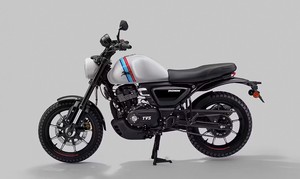 Las mejores motocicletas Ronin nuevas de 5 velocidades y motor manual de 225.9cc en oferta |   La entrega es a nivel mundial - Product Image 5