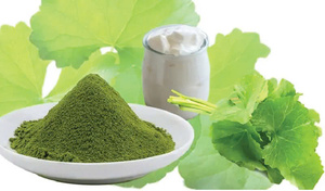 ผงเพนนีเวิร์ทแห้ง2025จากผู้ผลิตในเวียดนาม - Product Image 2