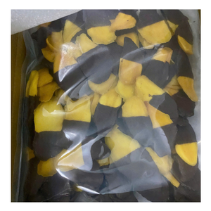 Mango Deshidratado Premium con Cubierta de Chocolate, Dulzura Equilibrada, Snack de Fruta Tropical para Mercados de Exportación - Product Image 1