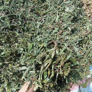 Thé de feuilles de pissenlit naturel | Ingrédient à base de plantes séchées au soleil | De la ferme à l'usine - Product Image 3