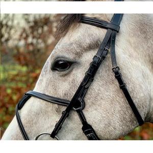 BRIDE EN CUIR DE CHEVAL ÉQUESTRE AVEC SANGLE DE MENTON SOFTY REMBOURRÉ ENTIÈREMENT COULEUR HAVANE COULEUR FANTAISIE COUTURE BLANCHE - Product Image 6