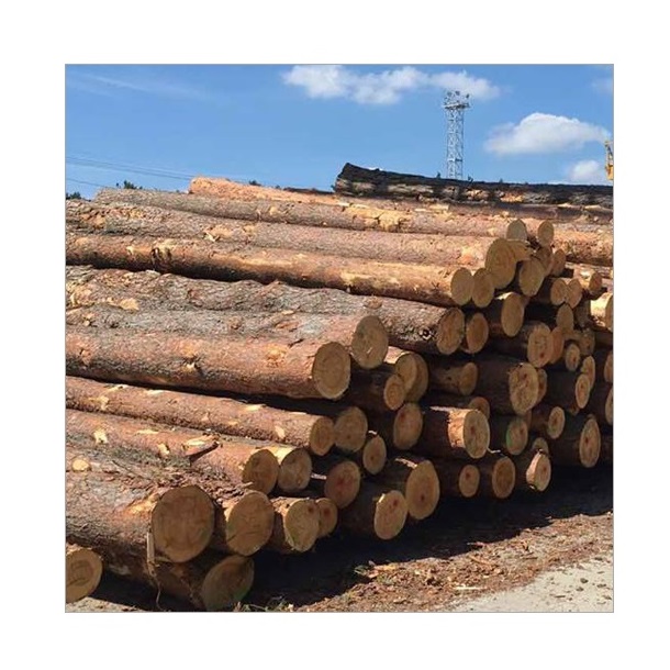 High-Density Pine Timber Logs for Building Materials
