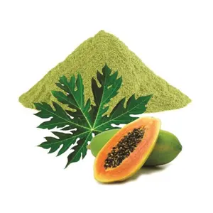 Polvo de especias de hoja de papaya Descubre los beneficios de esta hierba tropical Polvo de hojas de papaya Polvo de papaya orgánico