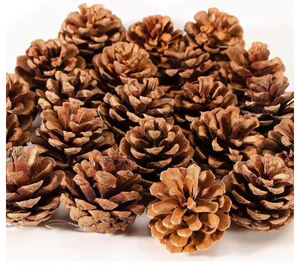 Suministro de fábrica, mejor precio, conos de pino decorativos, tela de flores secas con cono de pino, Papá Noel eléctrico - Product Image 2