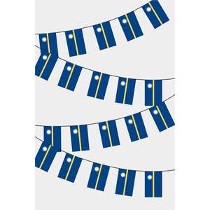 Nauru Rectangular Paper Flag Bunting for Various Occasions Back to School Graduation Christmas New Year <b>Easter</b> Chinese New Year - Product Image 1