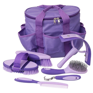 Kit de toilettage pour chevaux personnalisé ensemble de brosses avec sac - Product Image 2